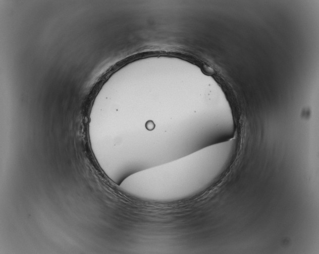 X0000115231215200911201549