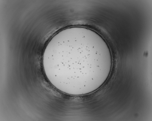 X0000115231217200911201549