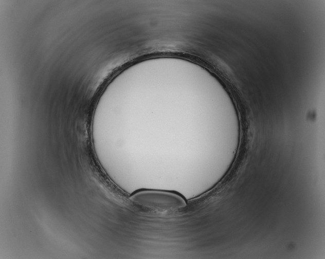 X0000115231218200911201549