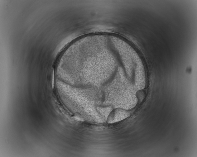 X0000115231219200911201549