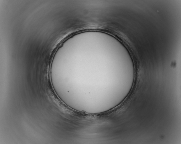 X0000115231220200911201549