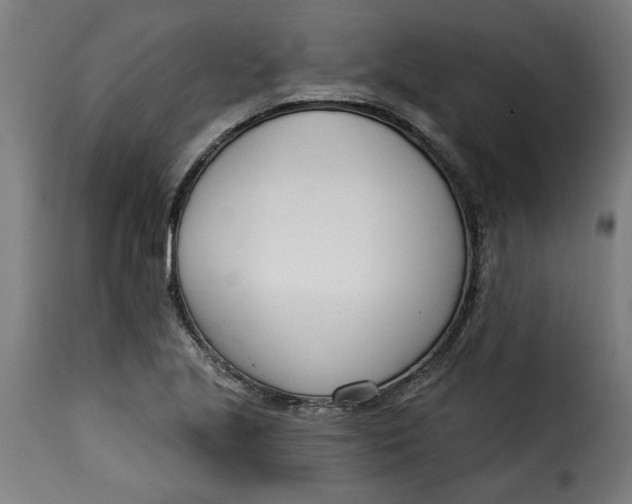 X0000115231221200911201549