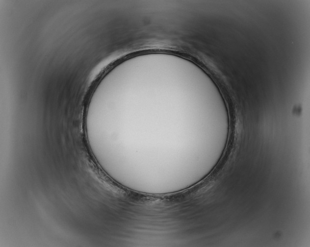 X0000115231222200911201549