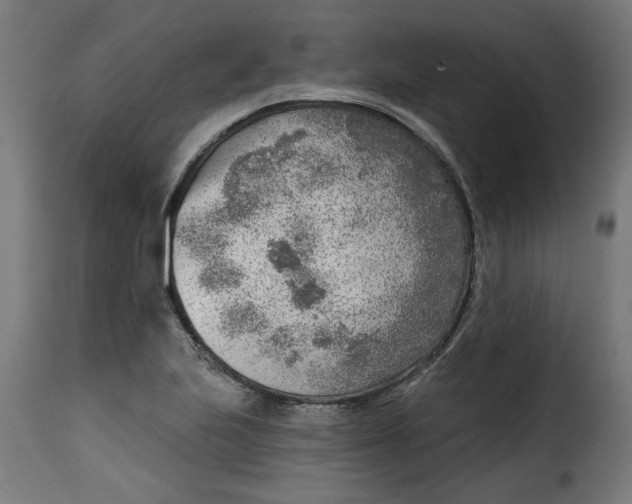 X0000115231223200911201549