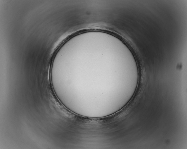 X0000115231224200911201549