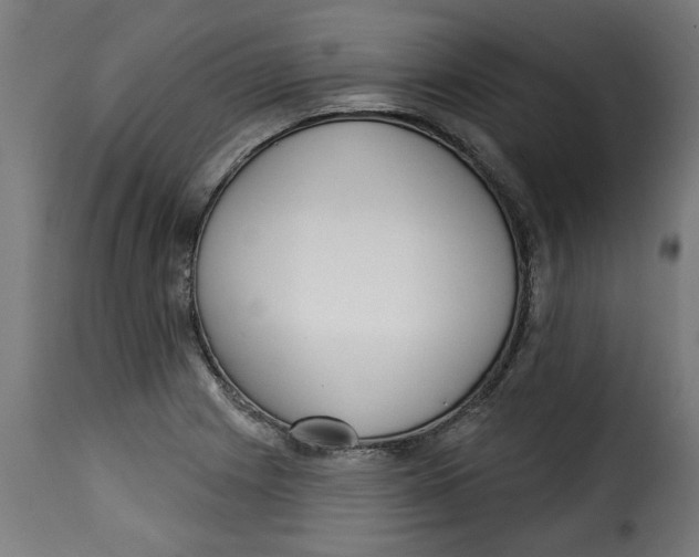 X0000115231225200911201549