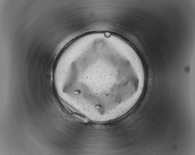 X0000115231226200911201549