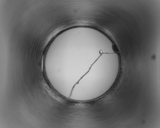 X0000115231227200911201549