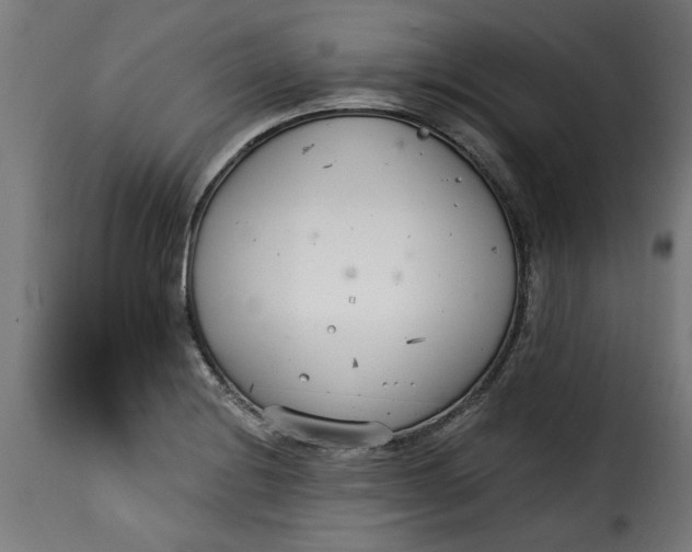 X0000115231228200911201549