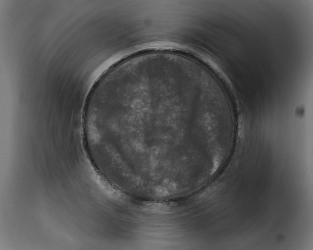 X0000115231229200911201549