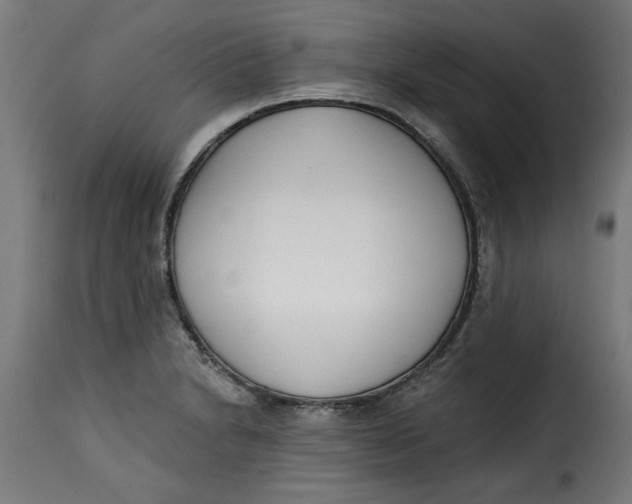 X0000115231230200911201549