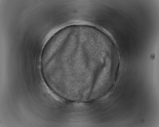 X0000115231231200911201549