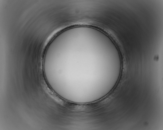 X0000115231232200911201549