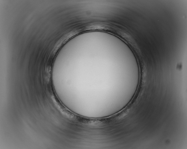 X0000115231233200911201550