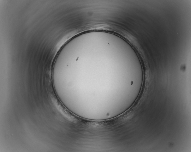 X0000115231234200911201550