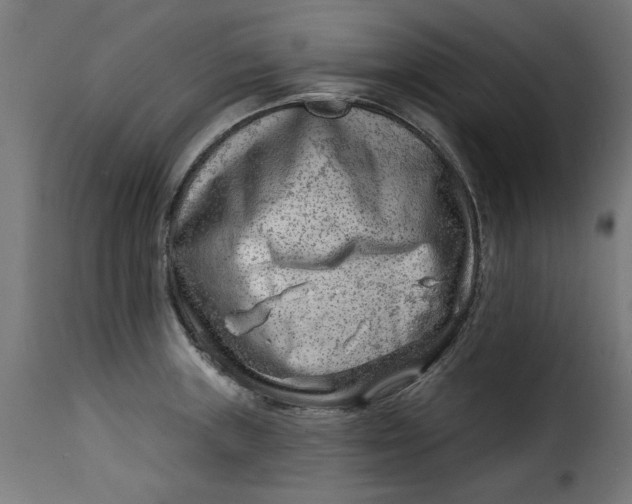 X0000115231235200911201550