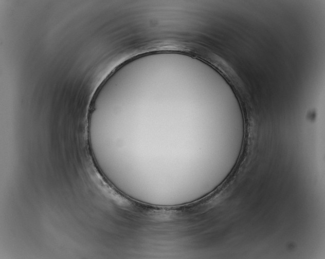 X0000115231236200911201550