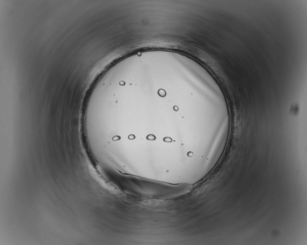 X0000115231237200911201550