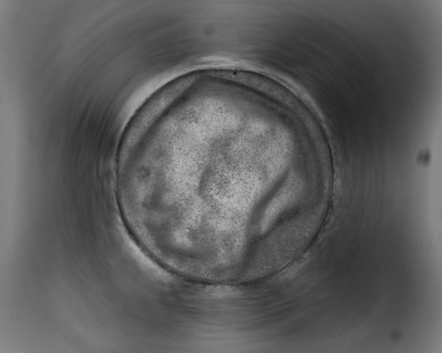 X0000115231239200911201550