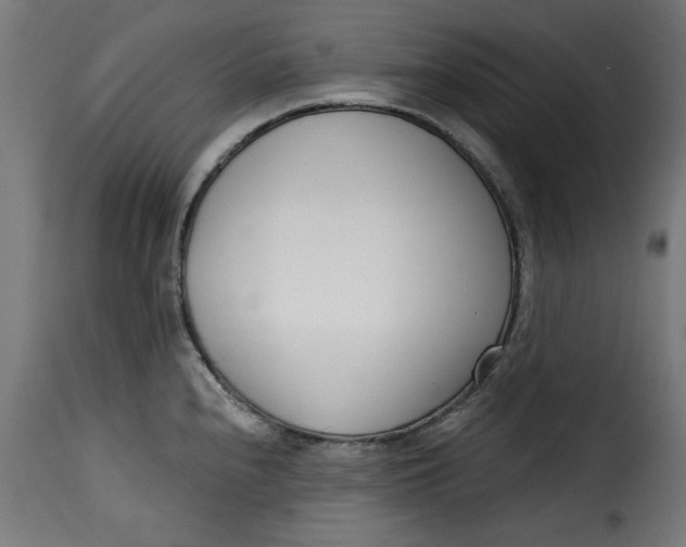 X0000115231240200911201550