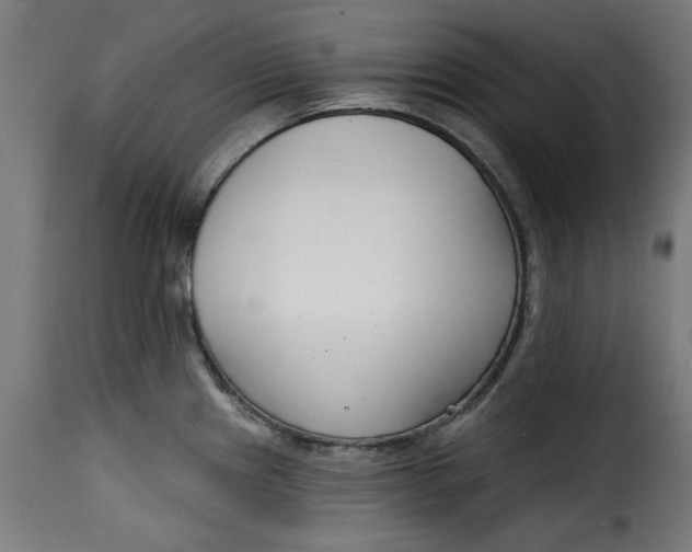 X0000115231241200911201550