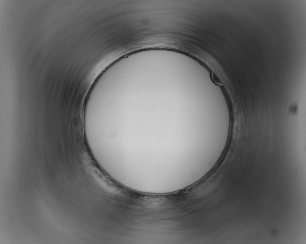 X0000115231242200911201550