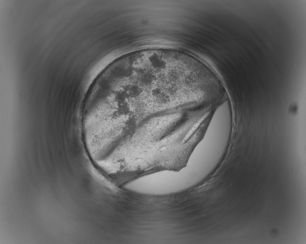 X0000115231243200911201550