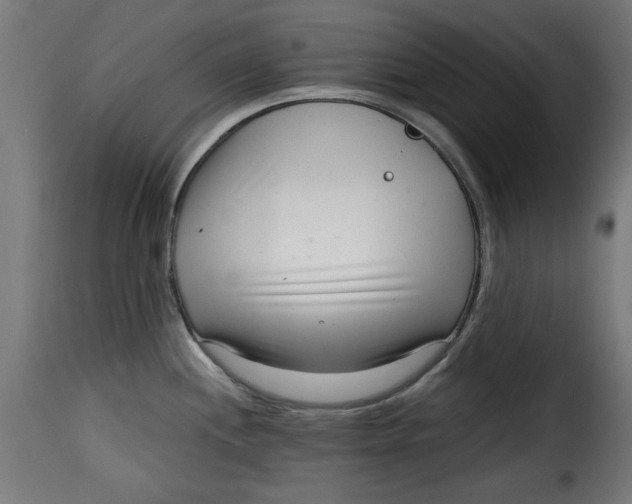 X0000115231244200911201550