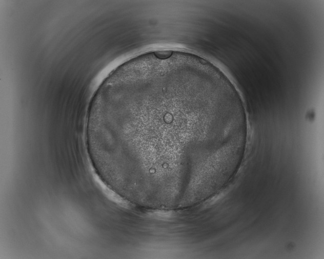 X0000115231245200911201550