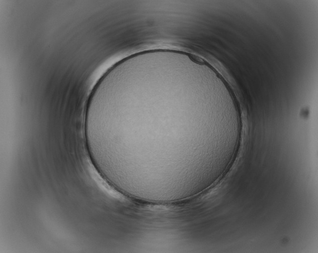 X0000115231246200911201550