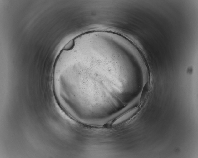 X0000115231247200911201550