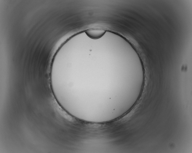 X0000115231248200911201550