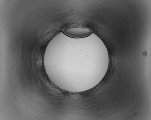 X0000115231250200911201549