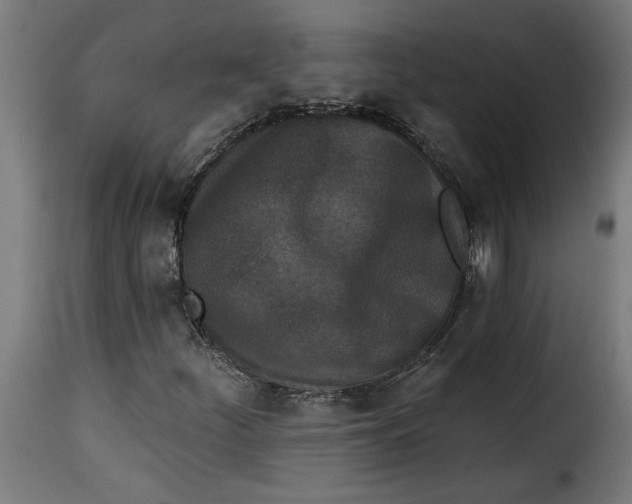 X0000115231252200911201549