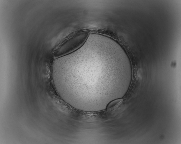 X0000115231253200911201549