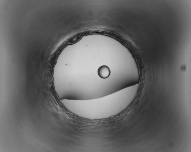 X0000115231256200911201549