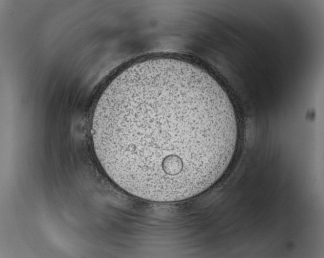 X0000115231258200911201549