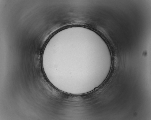 X0000115231260200911201549