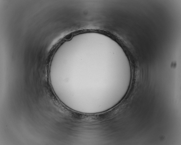 X0000115231262200911201549