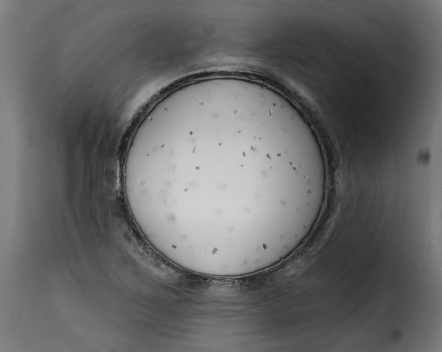 X0000115231267200911201549