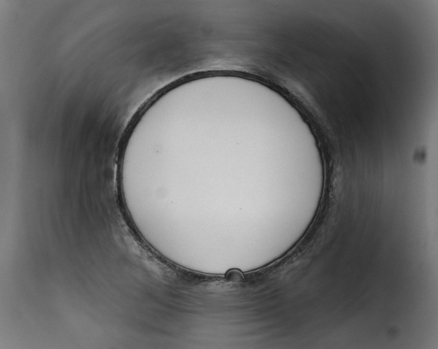 X0000115231268200911201549