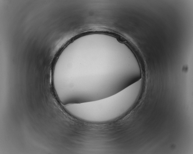 X0000115231269200911201549