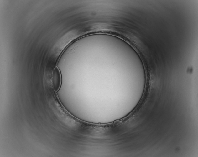 X0000115231273200911201549