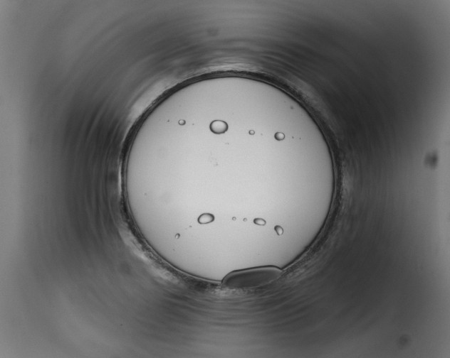 X0000115231274200911201549