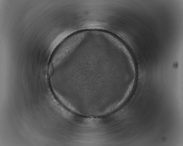 X0000115231277200911201549