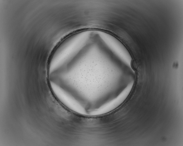 X0000115231280200911201549