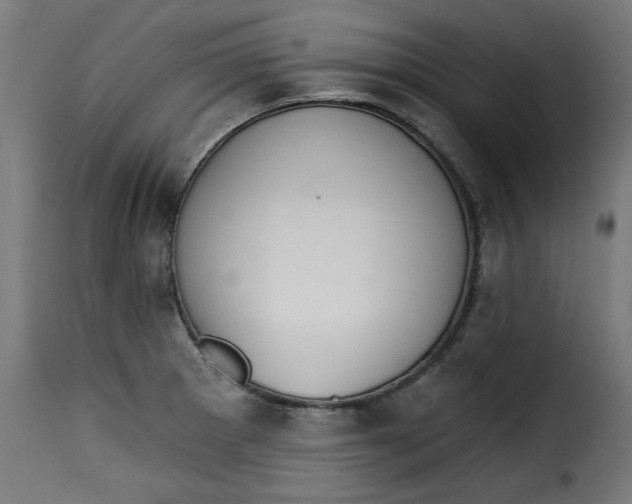 X0000115231281200911201549