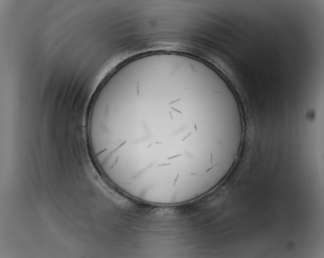 X0000115231283200911201549