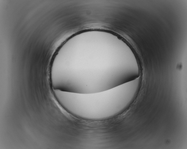 X0000115231285200911201549