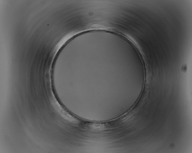 X0000115231291200911201548